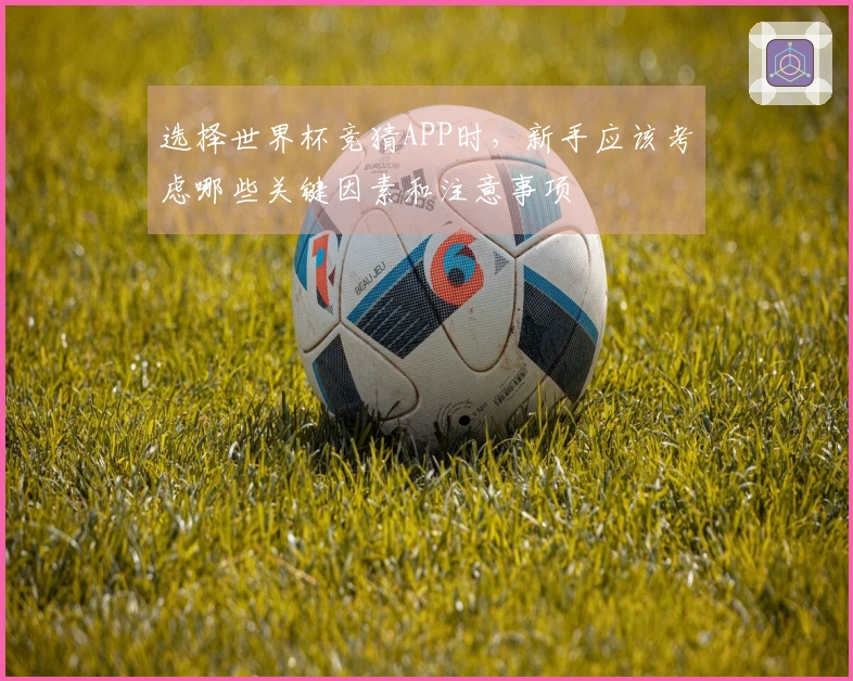 选择世界杯竞猜APP时，新手应该考虑哪些关键因素和注意事项
